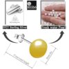 natural pearl gold color fresh water pearl stud earring